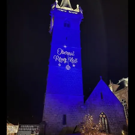 Junior L'ecrin Du Ried Proche Europa-park * Artolsheim