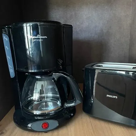 Junior L'ecrin Du Ried Proche Europa-park Vakantiehuis Artolsheim