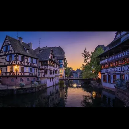 Junior L'ecrin Du Ried Proche Europa-park Vakantiehuis Artolsheim