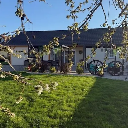 Junior L'ecrin Du Ried Proche Europa-park Vakantiehuis Artolsheim